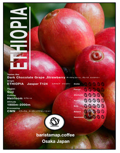 ETHIOPIA GUJI JASPER T124