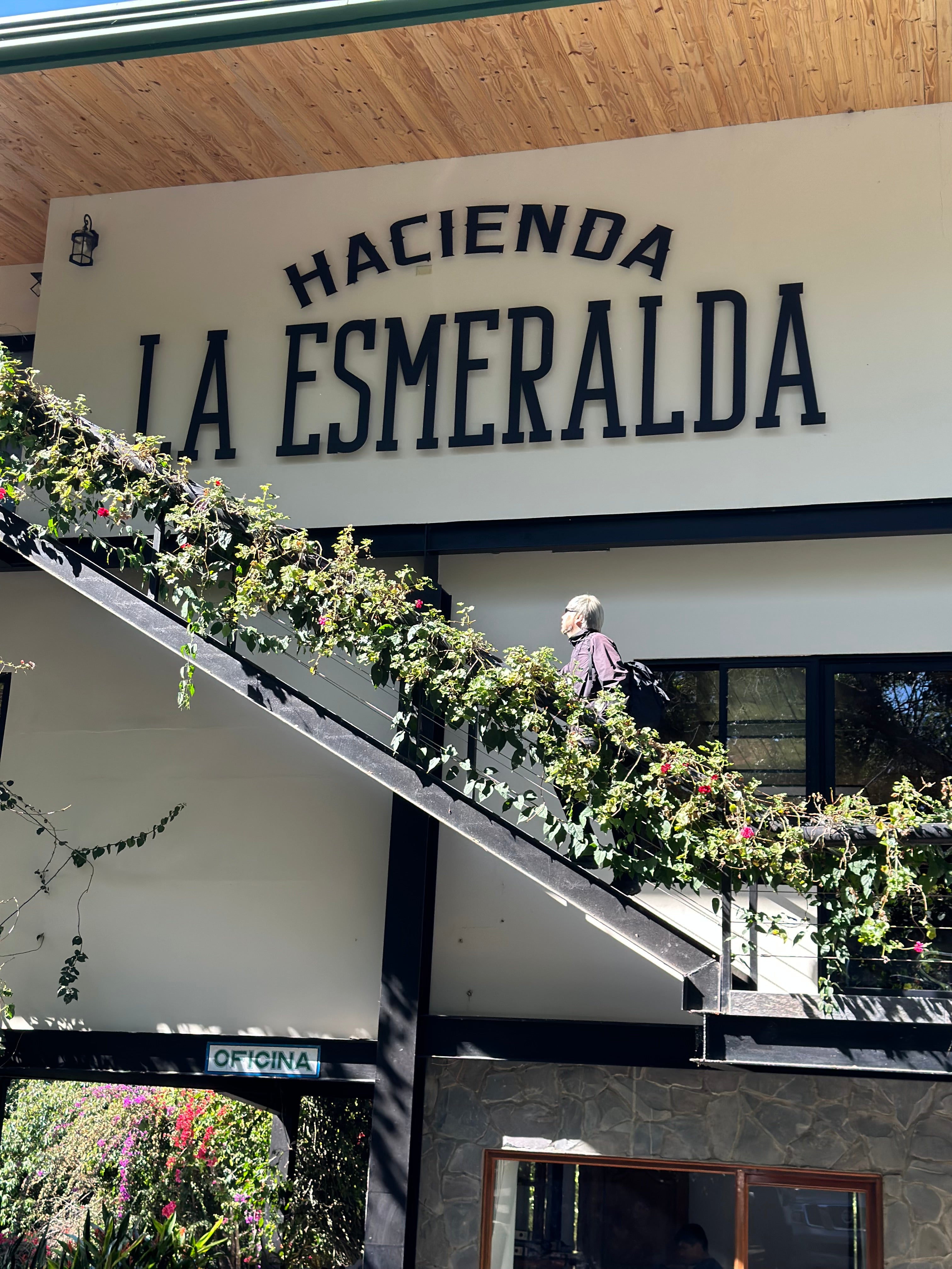 Panama Esmeralda Private Collection Geisha Washed