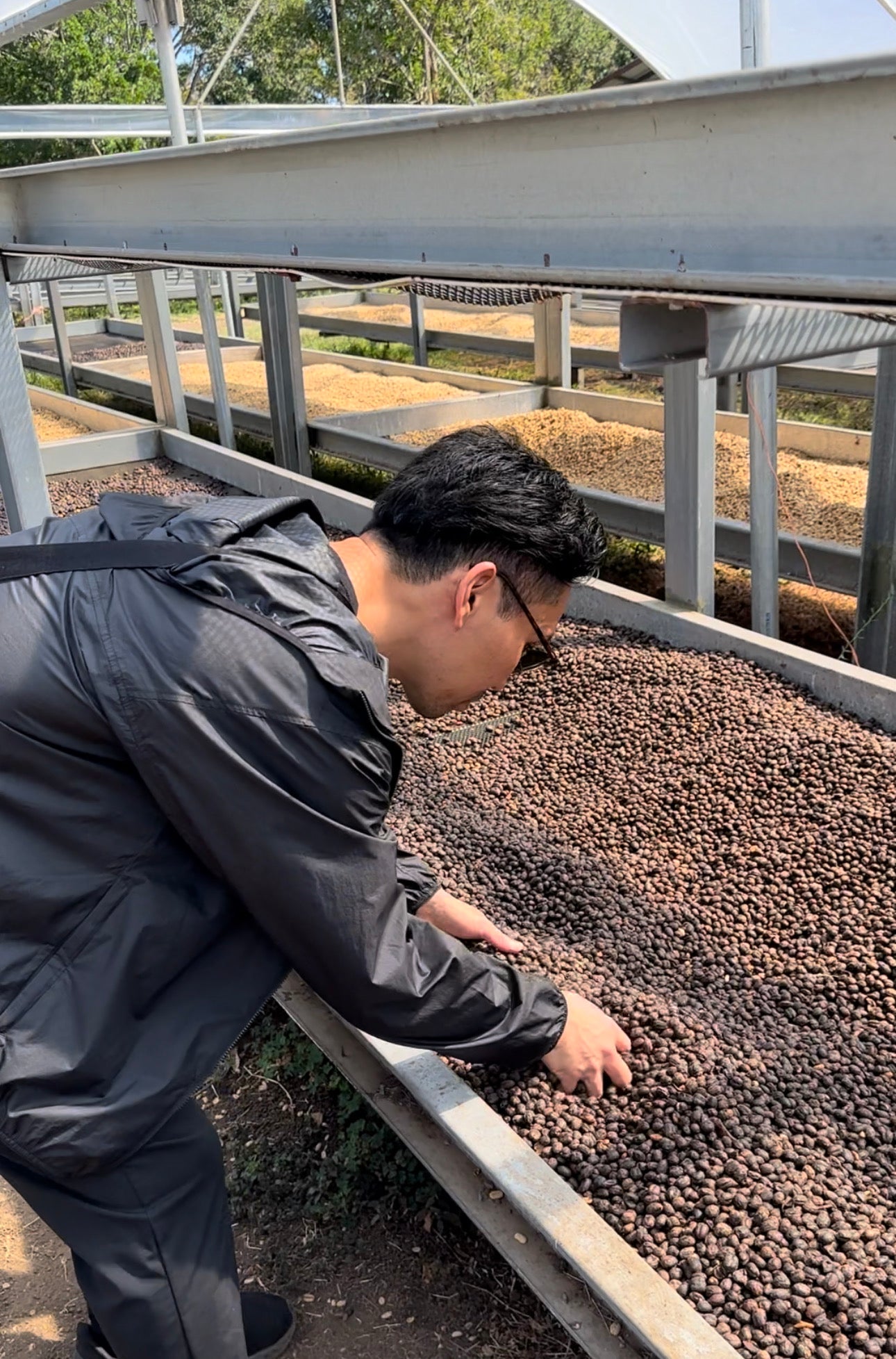 Panama Esmeralda Private Collection Geisha Washed